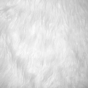 OnlyFans cuenta rayasapir header 2