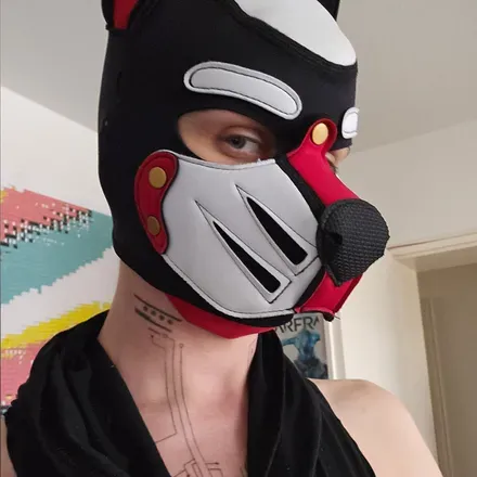 OnlyFans cuenta pup_destro avatar 1