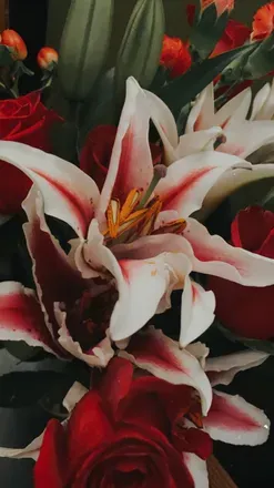 OnlyFans cuenta spicyfruit header 2