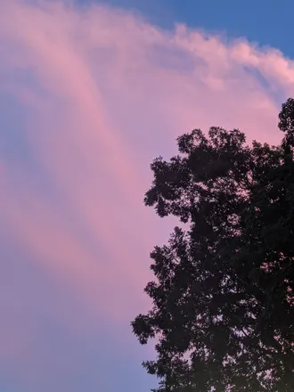 OnlyFans cuenta damiandoesthings header 2