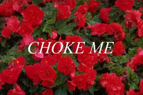 OnlyFans cuenta brbheart header 2