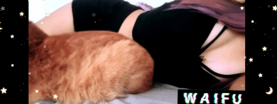 OnlyFans cuenta miau_uwu header 2