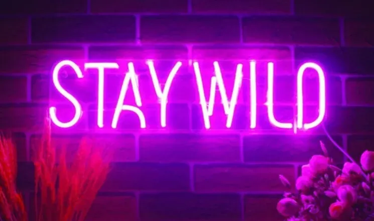 OnlyFans account  cocothacreamer header 2