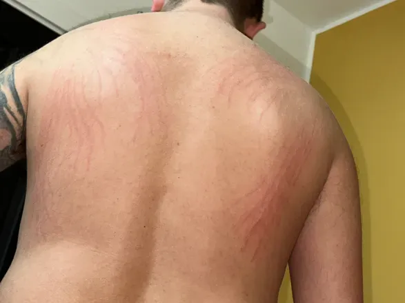 OnlyFans cuenta damobeast header 2