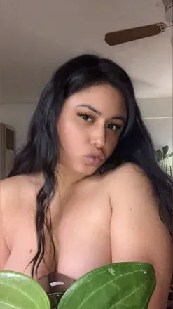OnlyFans cuenta therealcassb avatar 1