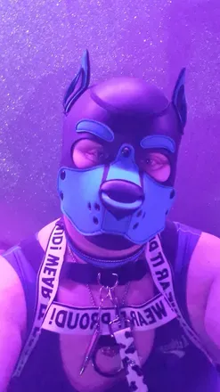 OnlyFans account  coreydingo avatar 1