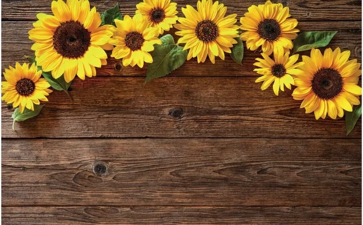 OnlyFans cuenta mya_taylour header 2