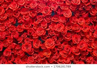 OnlyFans cuenta babyysugarr header 2