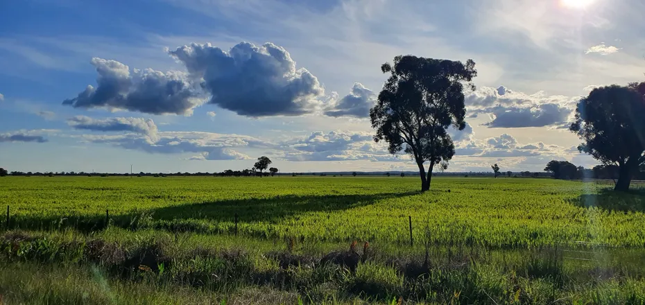 OnlyFans cuenta the_high_country_fella header 2