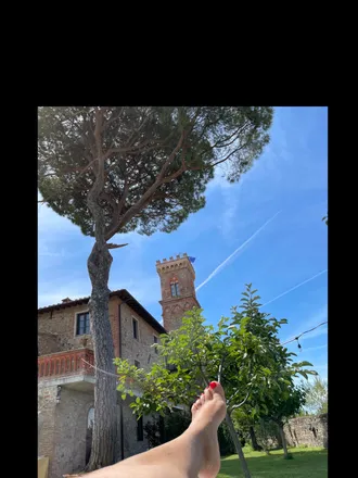 OnlyFans cuenta ermafrodita previous_headers_1 3