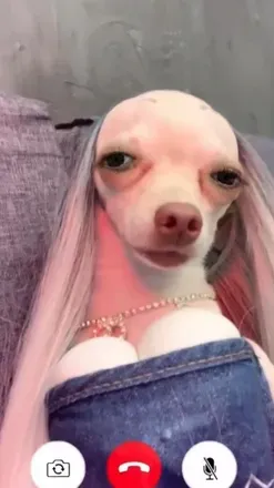 OnlyFans cuenta hottessbarbie avatar 1
