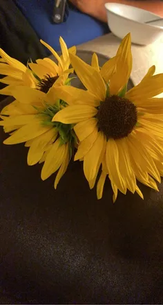OnlyFans account  queenbeejayde header 2