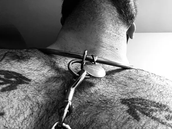 OnlyFans cuenta sub_alan header 2