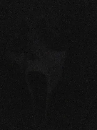OnlyFans cuenta nakedghosts avatar 1