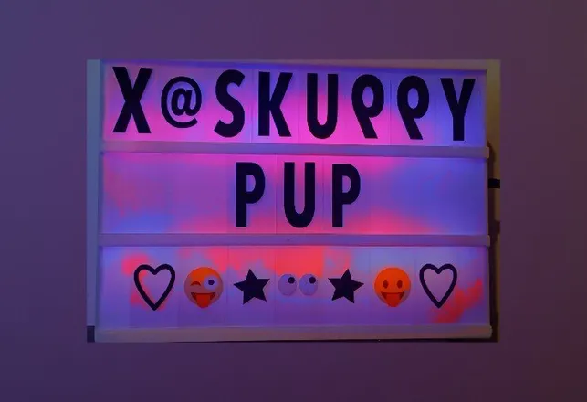 OnlyFans account  skuppy_puppy header 2