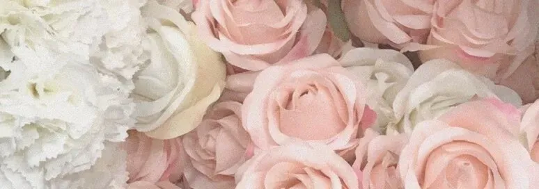 OnlyFans cuenta thealliekitty header 2