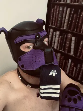 OnlyFans cuenta u173388508 header 2