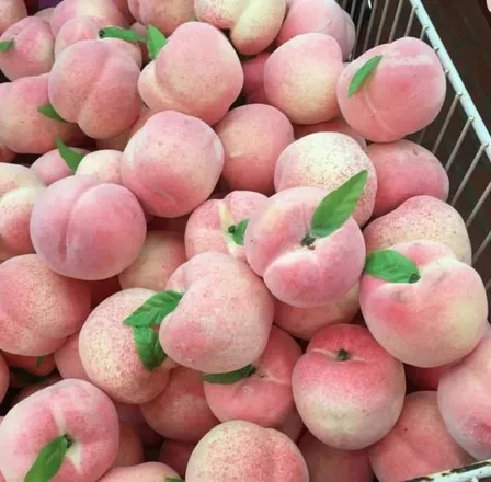OnlyFans cuenta blanco_peach header 2