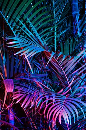 OnlyFans cuenta daniwildchild header 2