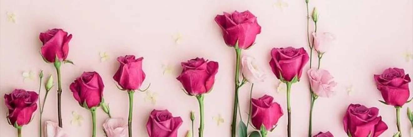 OnlyFans cuenta alexisnicolexxx header 2