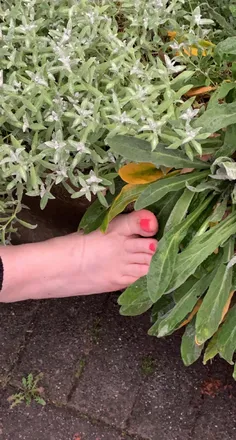 OnlyFans cuenta feetthrillers header 2