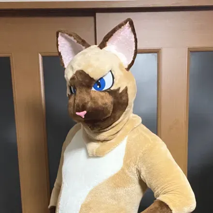 OnlyFans cuenta hatuka_cat avatar 1