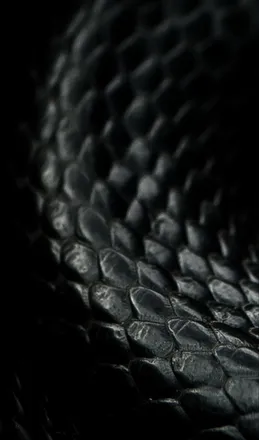 OnlyFans cuenta blackletherfb header 2