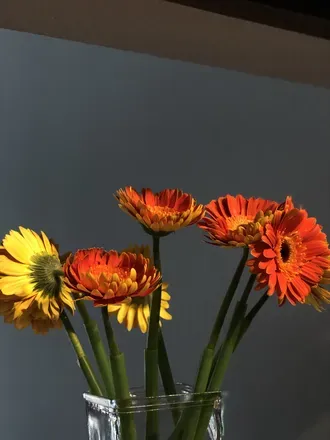 OnlyFans cuenta lil.me header 2