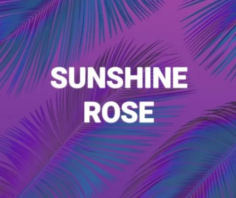 OnlyFans cuenta sunshinerose28 avatar 1