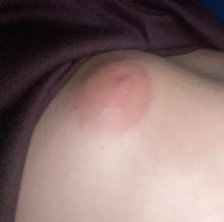 OnlyFans cuenta mamilosrj avatar 1