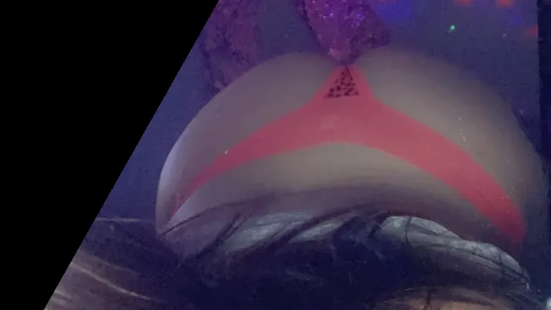 OnlyFans cuenta bunny1199 header 2