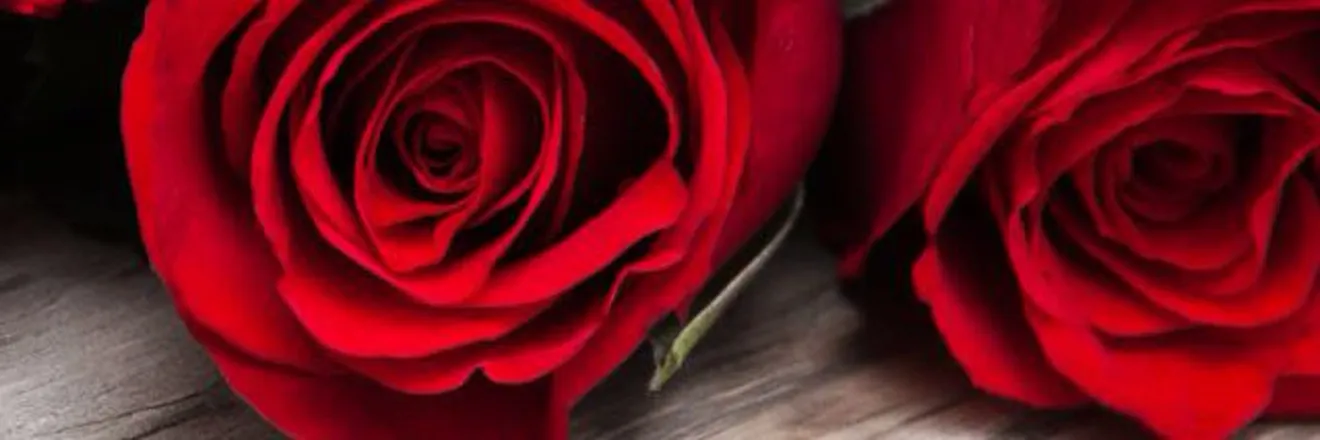 OnlyFans cuenta jasminrose007 header 2