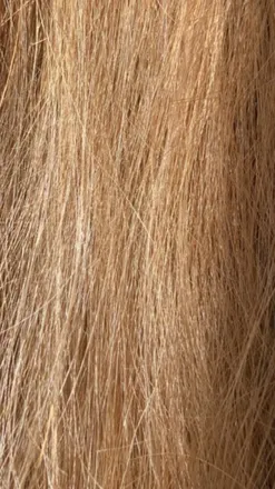 OnlyFans account  angelinatrixxx header 2