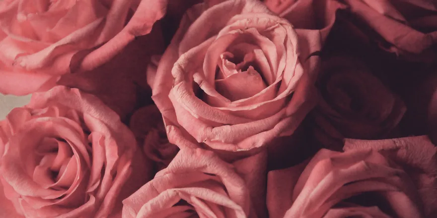 OnlyFans cuenta ravengirl26 header 2