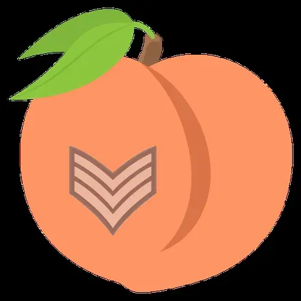 OnlyFans account  peachsergeant avatar 1