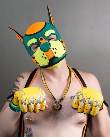 OnlyFans account  apo_lehr avatar 1