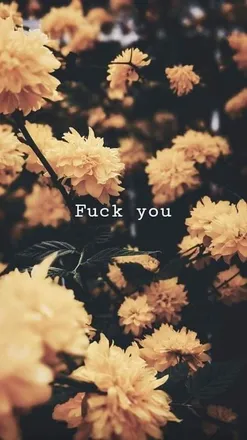 OnlyFans cuenta lovelylittlepanda header 2
