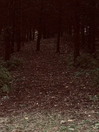 OnlyFans cuenta darkrp header 1