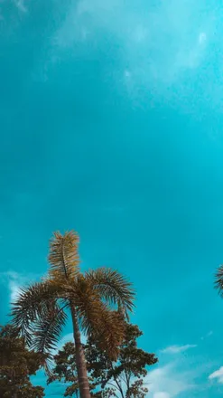 OnlyFans cuenta vitorlima1055 header 2