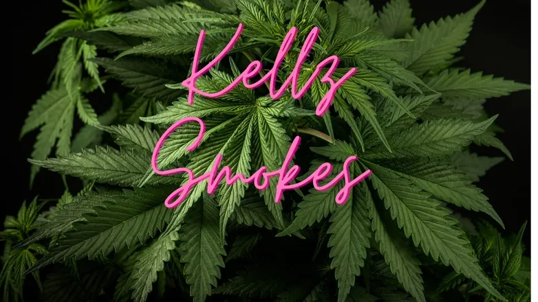 OnlyFans cuenta kellzsmokes header 2