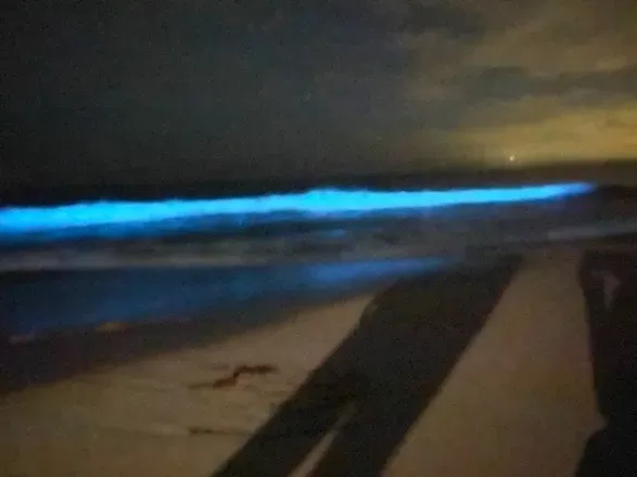 OnlyFans account  leetoooguushyy header 2
