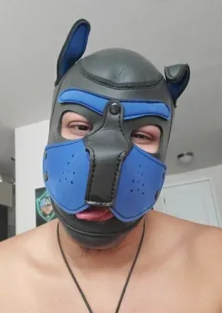 OnlyFans cuenta pupgaymerxxx avatar 1