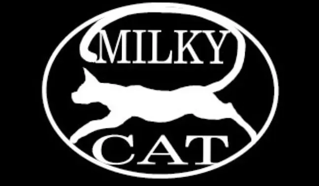 OnlyFans cuenta milkycatcom avatar 1