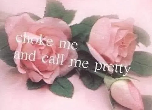 OnlyFans cuenta emilykitkat96 header 2