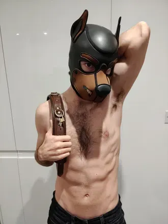 OnlyFans cuenta pup_herme avatar 1