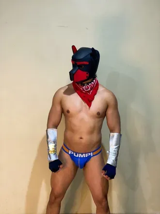 OnlyFans account  smash-dog avatar 1