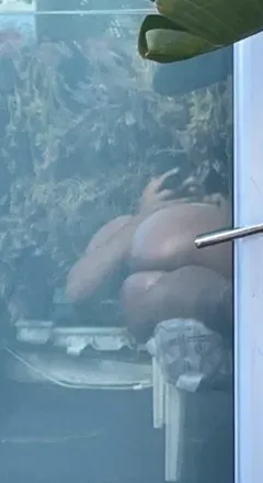 OnlyFans cuenta phatass33139 avatar 1