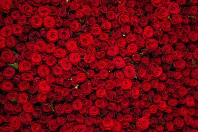 OnlyFans cuenta rev1999 header 2