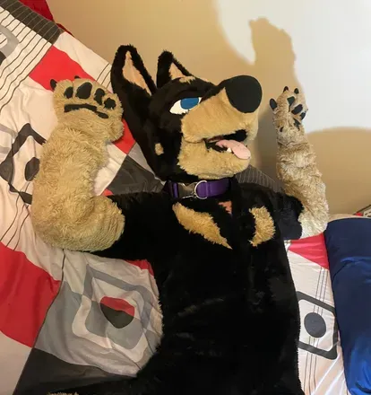 OnlyFans cuenta murrsuit header 2