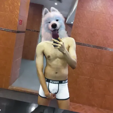 OnlyFans cuenta samoysoyed avatar 1